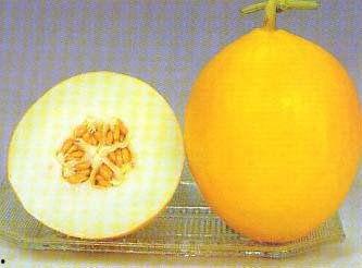 流产可以吃瓜花,流产后的心灵疗愈之旅  第3张